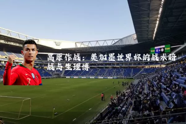 高原作战：美加墨世界杯的战术暗战与生理博弈